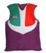 AFL supporters seat cushion embellished with team logo
