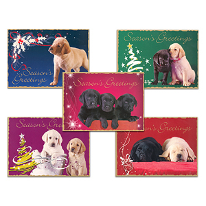 Guide Dog Chrismas Cards